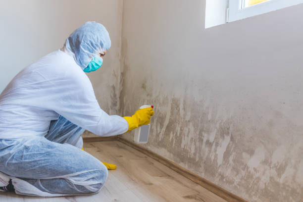 Mold inspector in Stevenson performing thermal imaging